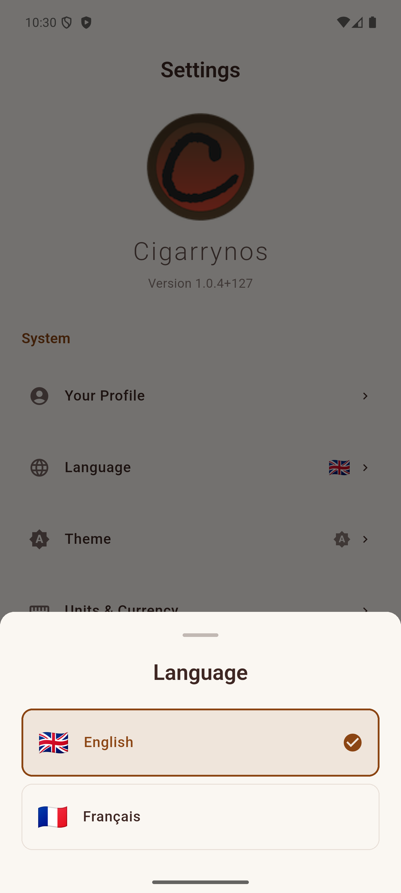 Settings screen with theme, language, and currency options